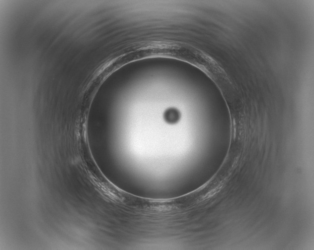 X0000056381017200508261154