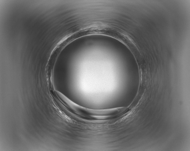 X0000056381018200508261154