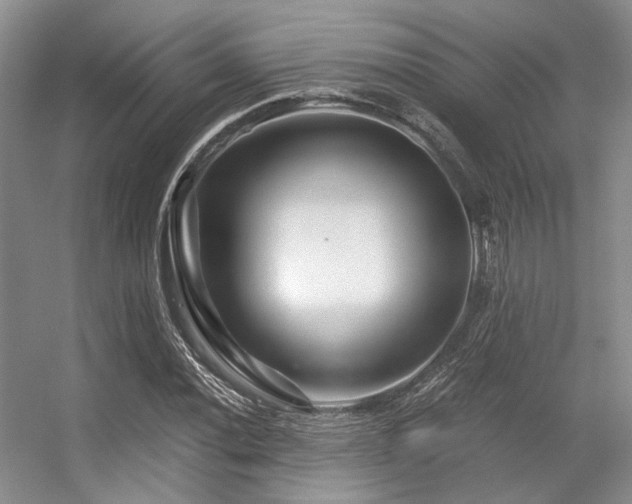 X0000056381020200508261154