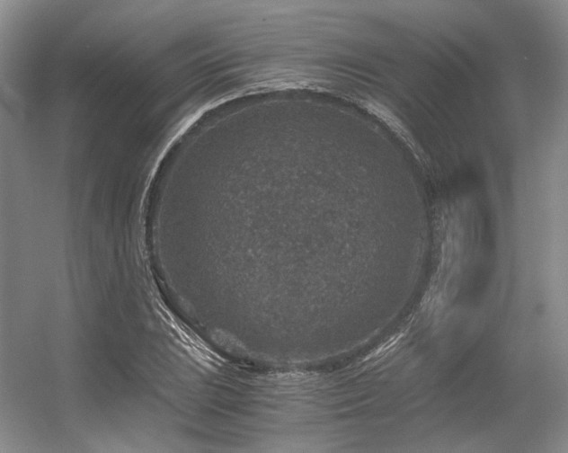X0000056381023200508261154