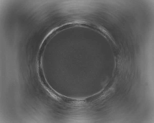 X0000056381024200508261154