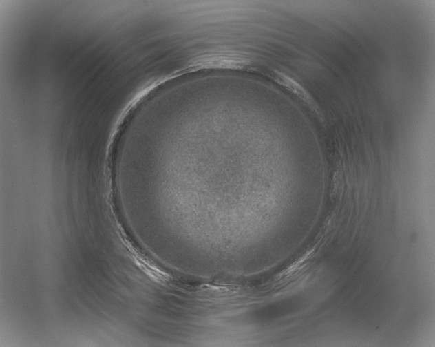 X0000056381027200508261155