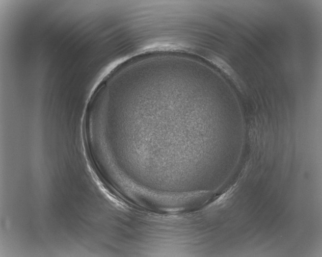 X0000056381030200508261155