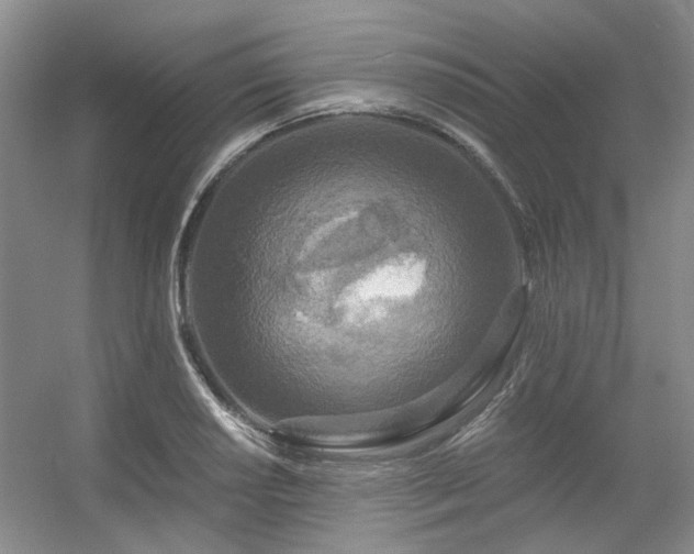 X0000056381034200508261155