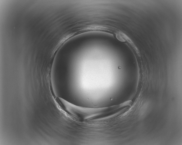 X0000056381049200508261155