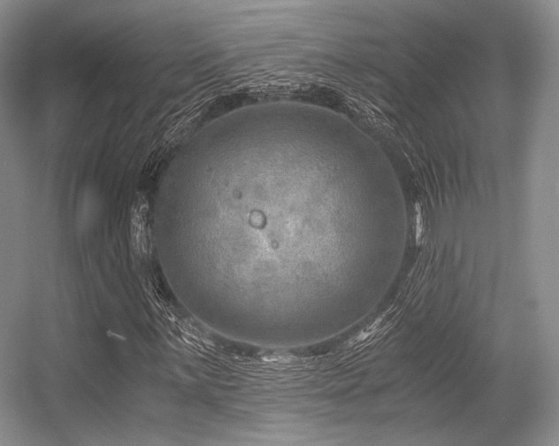 X0000056381059200508261154