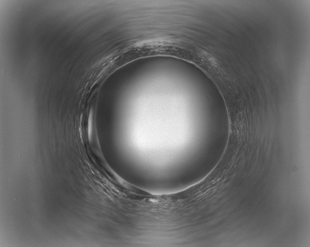 X0000056381062200508261154