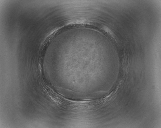 X0000056381064200508261154