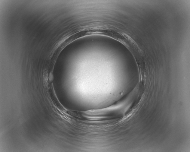 X0000056381065200508261154