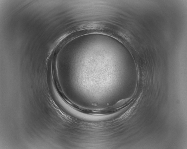 X0000056381066200508261154
