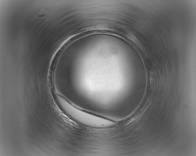 X0000056381068200508261154