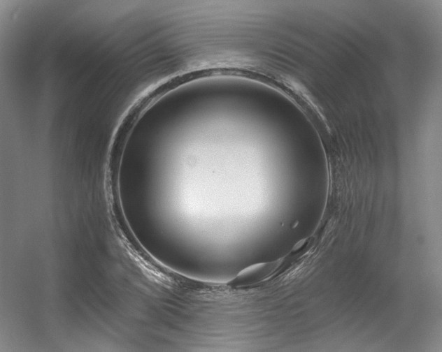 X0000056381072200508261154