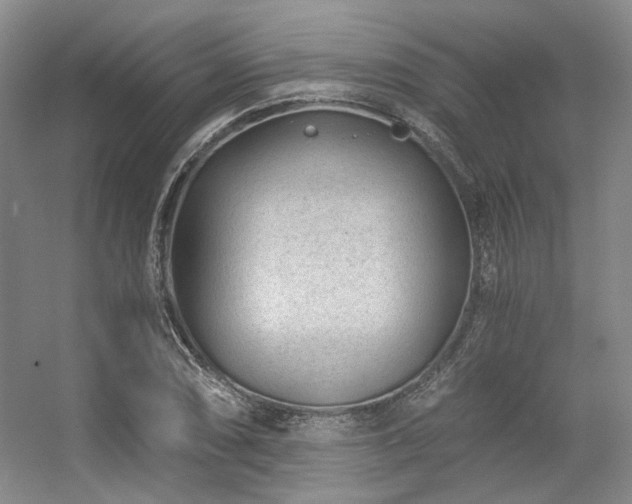 X0000056381074200508261154