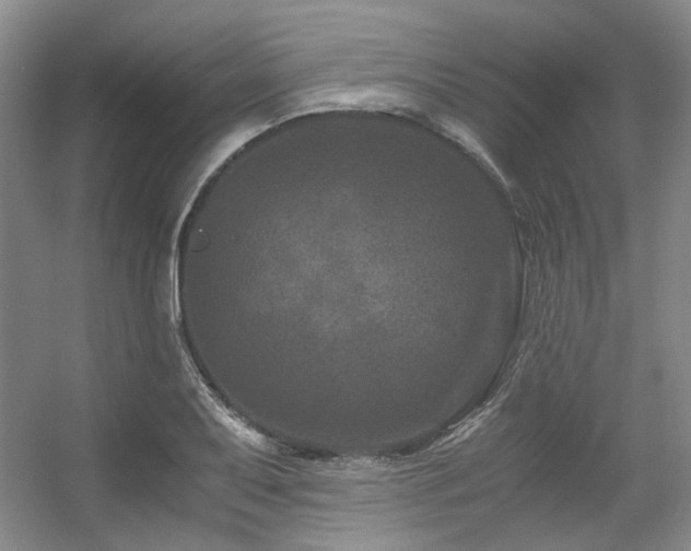 X0000056381079200508261154