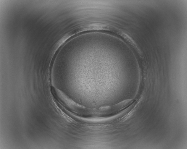 X0000056381081200508261154