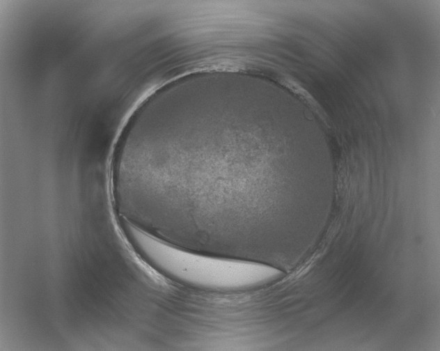 X0000056381083200508261154