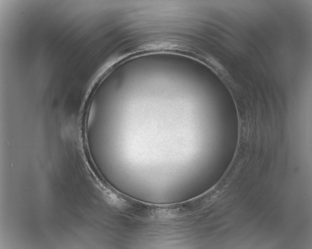 X0000056381086200508261154