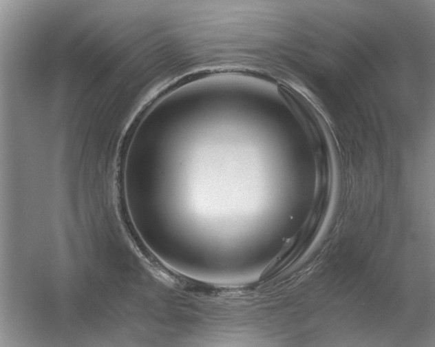 X0000056381093200508261154