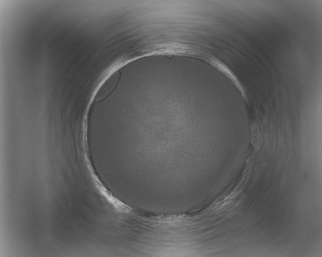 X0000056381099200508261153