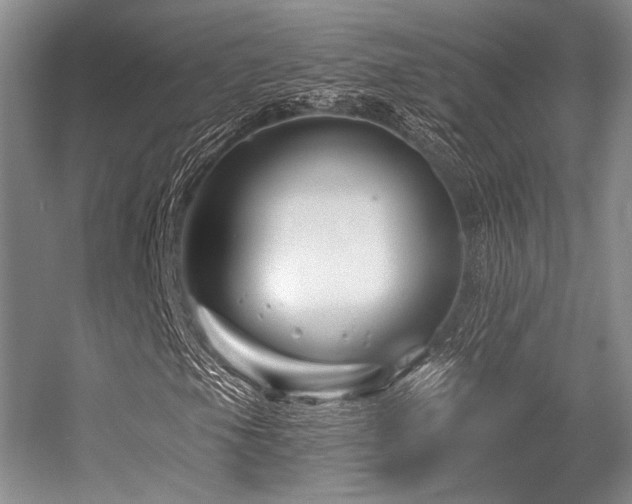 X0000056381105200508261153