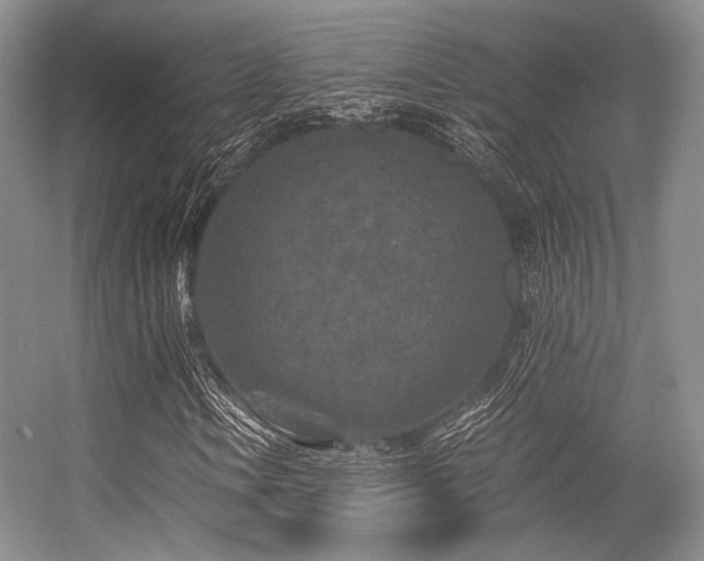 X0000056381106200508261153