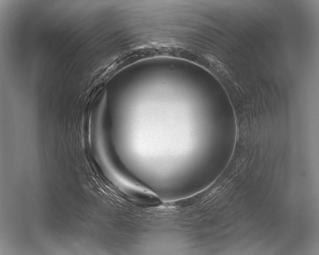 X0000056381110200508261153