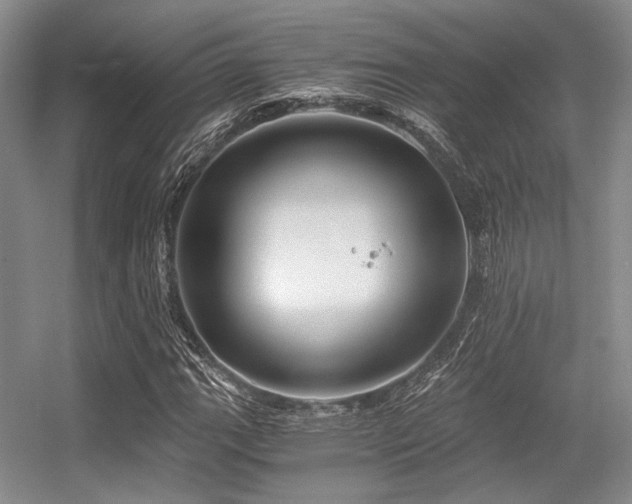 X0000056381111200508261153