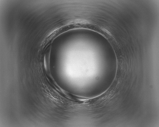 X0000056381112200508261153