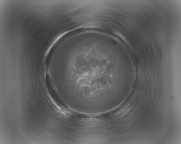 X0000056381115200508261153