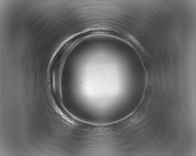 X0000056381116200508261153