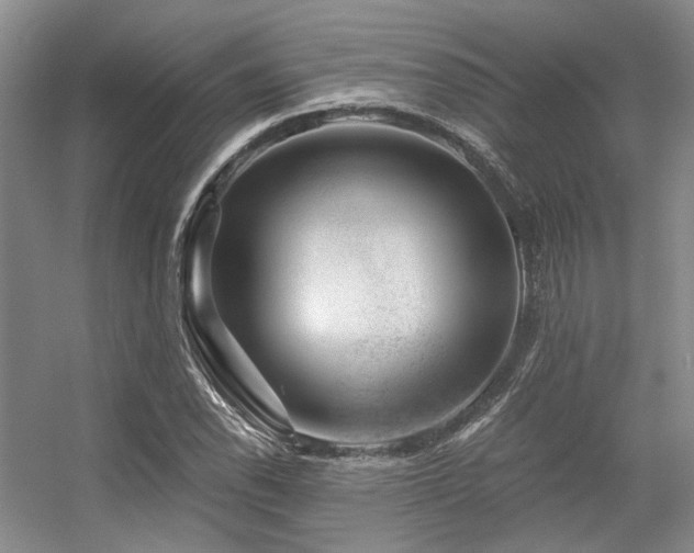 X0000056381118200508261153