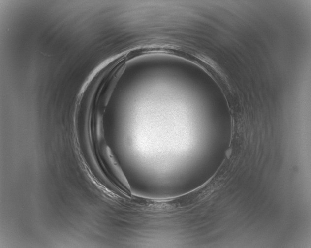 X0000056381120200508261153