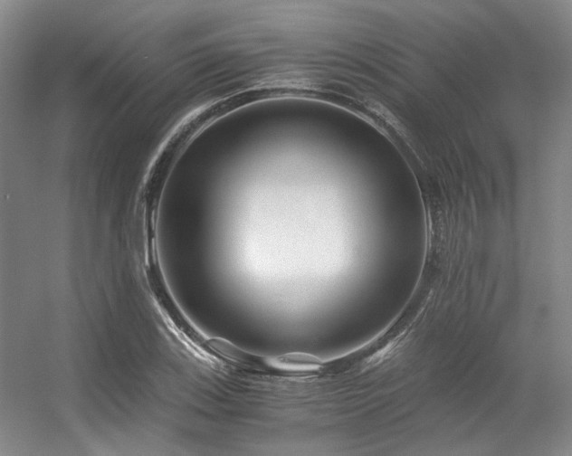 X0000056381123200508261153