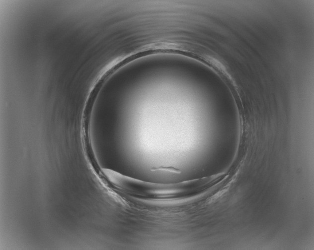 X0000056381133200508261153