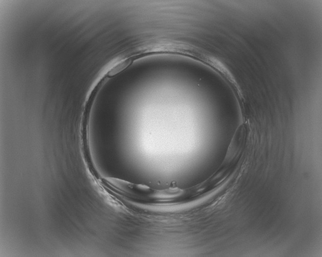 X0000056381138200508261153