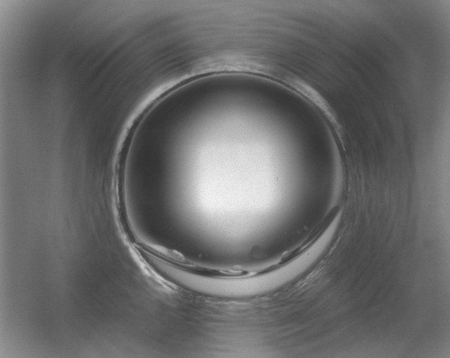 X0000056381144200508261153