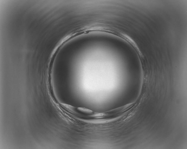 X0000056381146200508261153