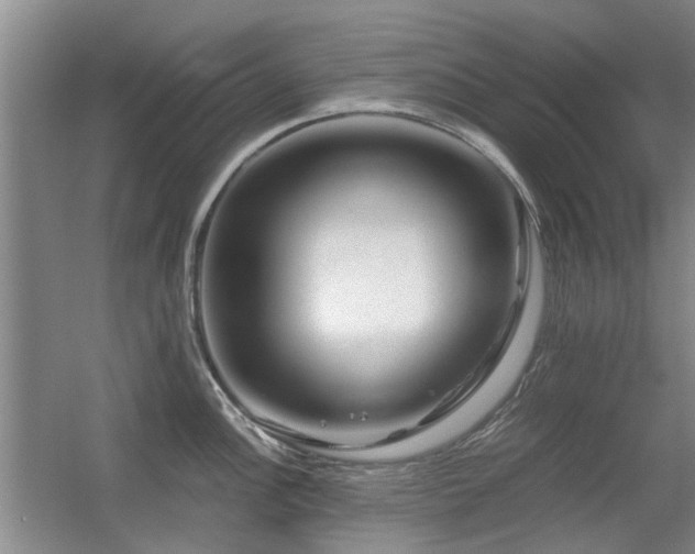 X0000056381148200508261153