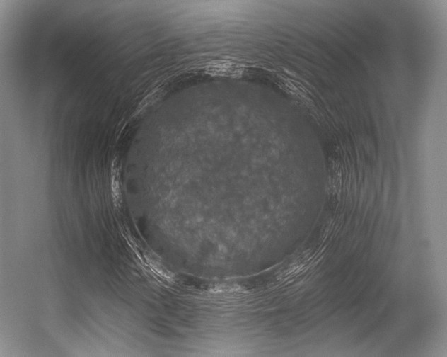 X0000056381154200508261153