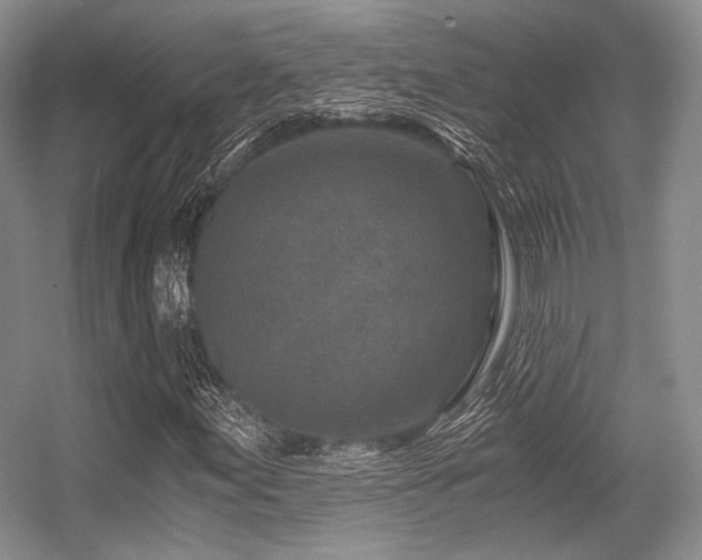 X0000056381155200508261153