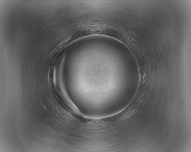 X0000056381156200508261153