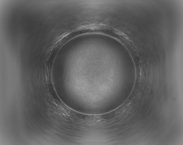 X0000056381158200508261152
