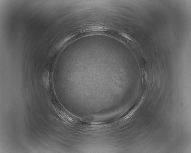 X0000056381161200508261152