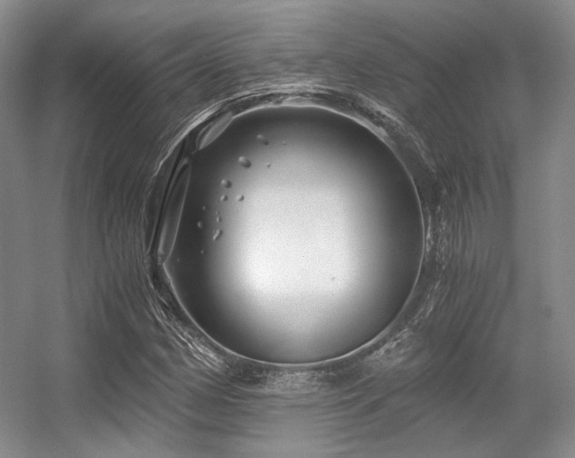 X0000056381162200508261152