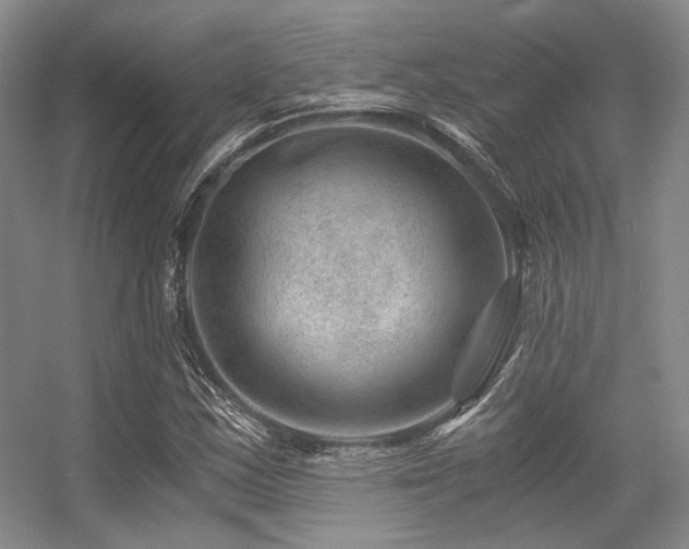 X0000056381163200508261152