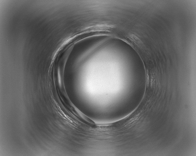 X0000056381164200508261152