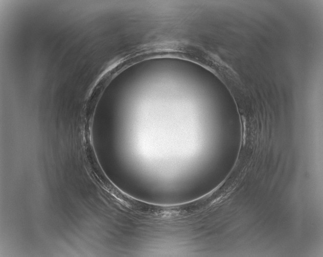 X0000056381166200508261152