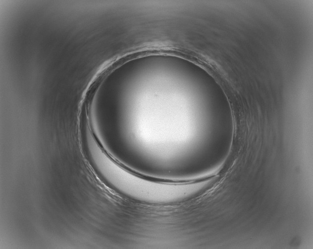 X0000056381168200508261152