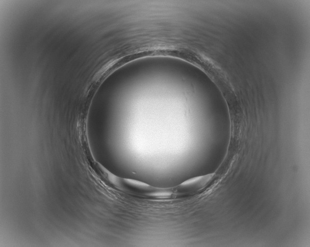 X0000056381169200508261152