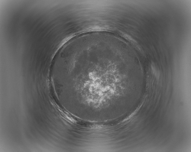 X0000056381170200508261152